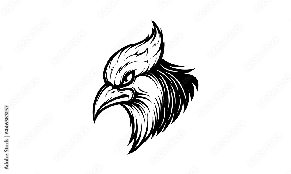 Blue Jay head isolated vector