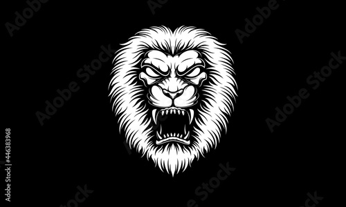 Fototapeta Naklejka Na Ścianę i Meble -  Black and white angry lion head vector