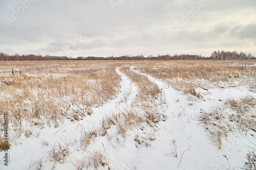 Field, meadow and grass with snow and cold cloudy sky. Beautiful winter landscape. Winter morning, day or evening