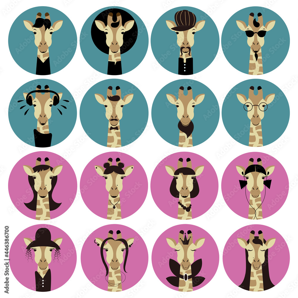 Instagram Highlights cover icons. Animal Instagram Highlights Stories