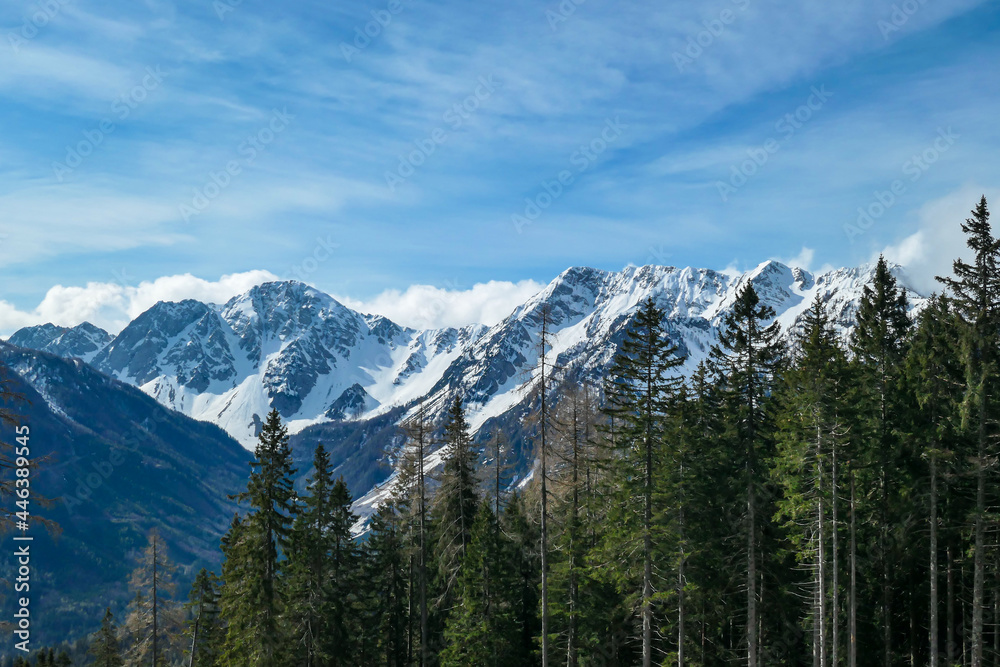 A close up view on the sonw-capped Alps in Slovenia. There are thick, white clouds behind the mountains. There are a few trees in the frame. Idyllic landscape. Cloudy, but sunny day. Calmness