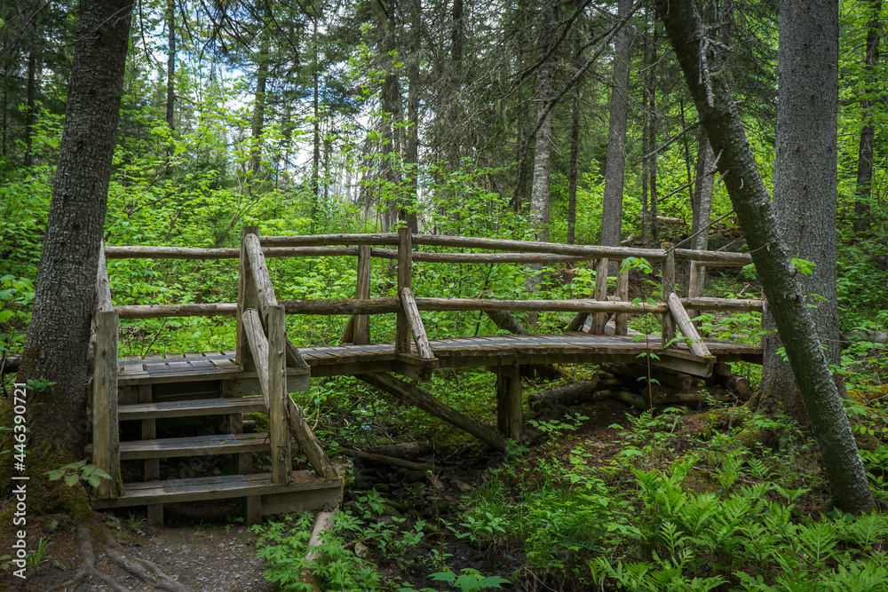 Boardwalk and hiking trail of the Canyon des Portes de l'Enfer nature park (Hell's gate Canyon), located near Rimouski in Bas Saint Laurent, Quebec (Canada)