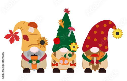 Cartoon flat vector gnomes in bright colors with orange pumpkin  spice latte cup  forest mushrooms  sunflowers  leaves. Isolated on white background.