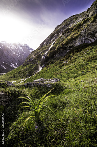 Nature et cascade des Pyrénées proche Gavarnie 