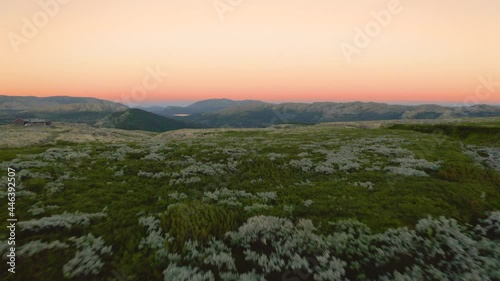 Low Aerial Through Terrain With Lush Wild Plants At Rondane National Park During Sunset In Norway. photo