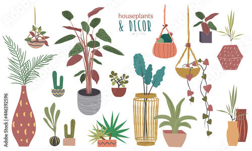 Houseplants collection with plants and home decor in boho chic, flat style hand drawn. Colorful set with cactus, succulents, palms, vases, pots, hangin pots... Vectorized. Home plants and flowers.