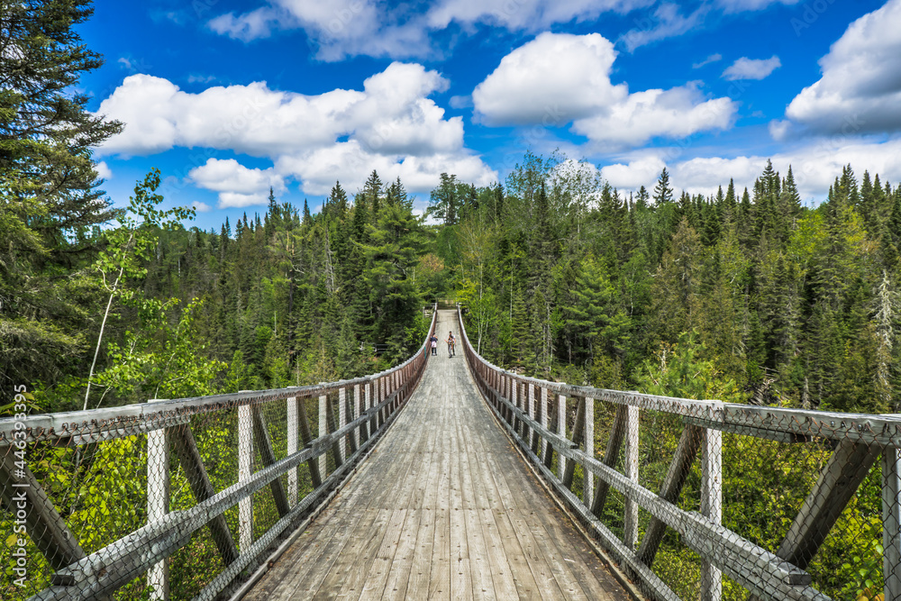 Fototapeta premium View from the Rimouski river on the highest suspended footbridge in Quebec, 63 meters high and 99 meters long, located in Canyon des Portes de l'Enfer (Hell's gate Canyon) in Quebec, Canada