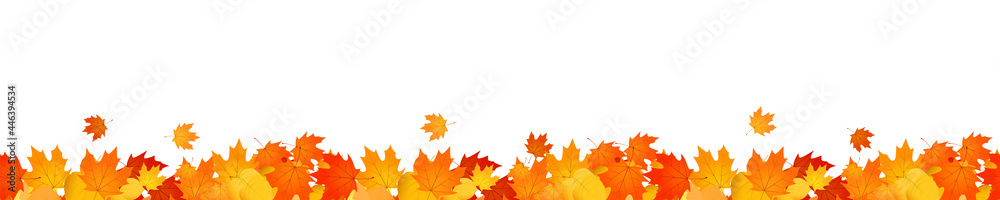 Autumn header overlay of fallen orange and red leaves