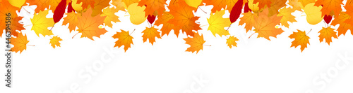 Autumn banner with falling maple leaves