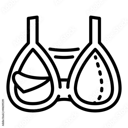 Breastfeeding bra icon. Outline breastfeeding bra vector icon for web design isolated on white background