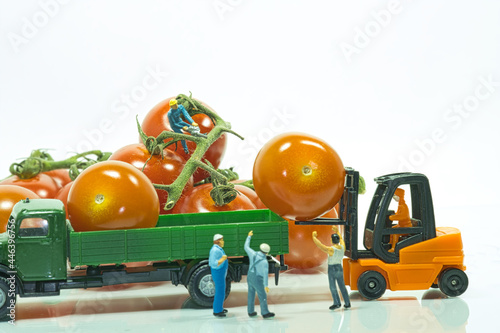 Closeup shot of a miniature figurine scene transporting tomato to truck and workers standing by photo