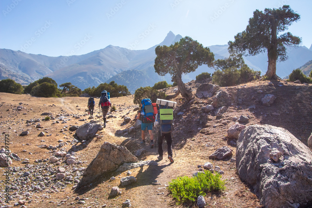Group hiking in mountains. Group tourists climb the path to the top. Journey with the backpack.