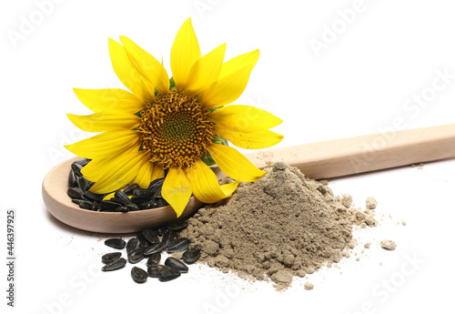 Fototapeta Sunflower flour pile, seeds and flower with wooden spoon isolated on white backg