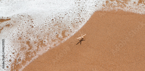 Fototapeta Naklejka Na Ścianę i Meble -  Beautiful white starfish standing on sand and waiting for the waves at the seashore. Summer vacation and relaxation concept. Marine banner with copy space.