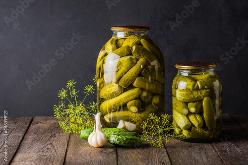Pickled cucumbers in the jar. Ingredients for pickling cucumbers. Cucumbers, dill, garlic. Glass jars with pickles photo