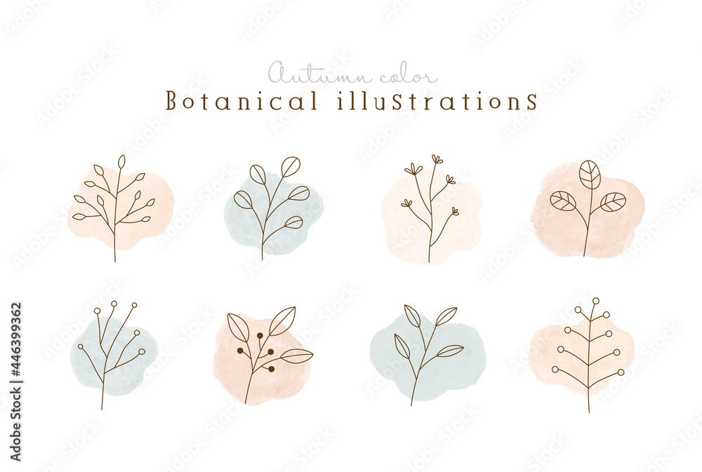 秋色の植物の線画イラストのセット 水彩 シンプル ボタニカル ナチュラル 葉 自然 おしゃれ Vector De Stock Adobe Stock