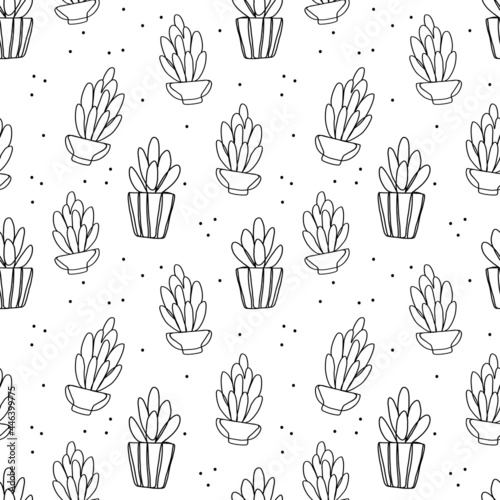 Plants are drawn with one line. Illustration of succulents in pots. © EniaKlever
