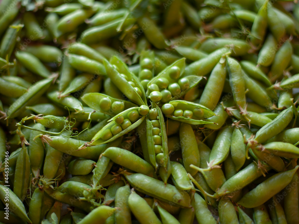 Pea pods in flower style Pea pods in flower style
