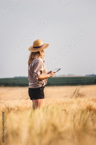 Female farmer standing in barley field and examining quality of produce before harvest. Woman using digital tablet for smart farming