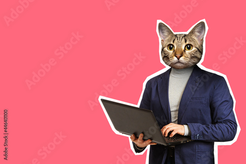 Cat headed man using laptop...