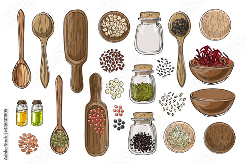 Vector food icons. Colored sketch of food products. Spices, nuts, herbs, beans, cereals, oil, spice jars, wooden spoons.