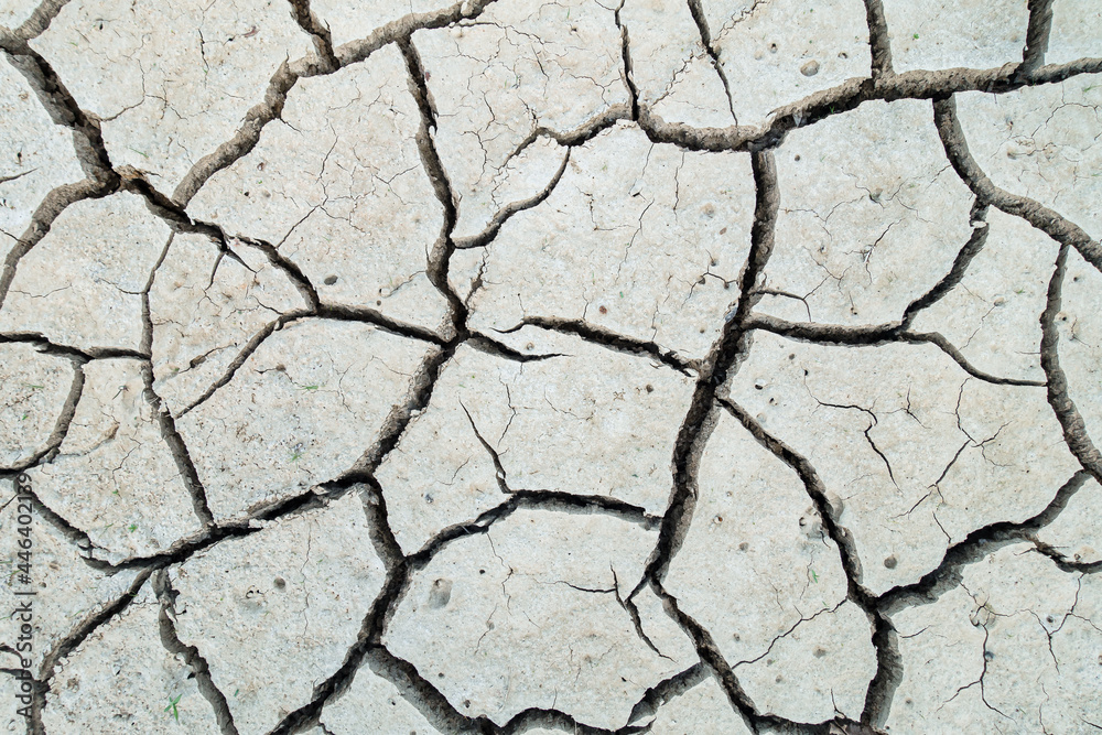 Obraz premium Water shortage and dry land caused by abnormal climate