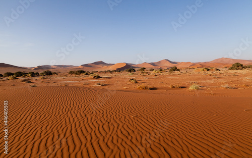 Red Desert Country 