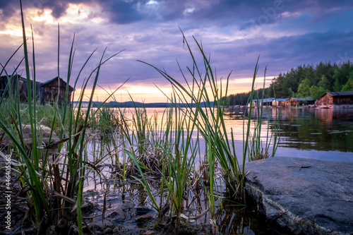 Summer sunset on the Kovdozero lake in Karelia. Settlement Zelenoborsky  Kandalaksha  Murmansk region  Kola Peninsula. Evening sky reflected in calm water  silhouettes of grass in the foreground.