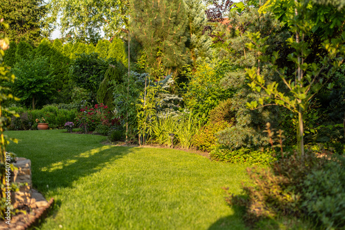 beautifully designed garden with a variety of flowers, trees and shrubs