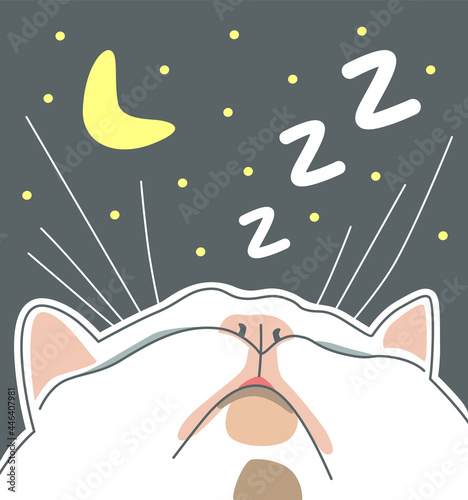 White cat, pink nose. Asleep with his head up. Night, moon and stars. Flat vector illustration.