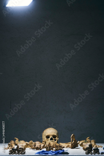 Human skeleton on a table after being unearthed in the Silo of Charlemagne in Roncesvalles.