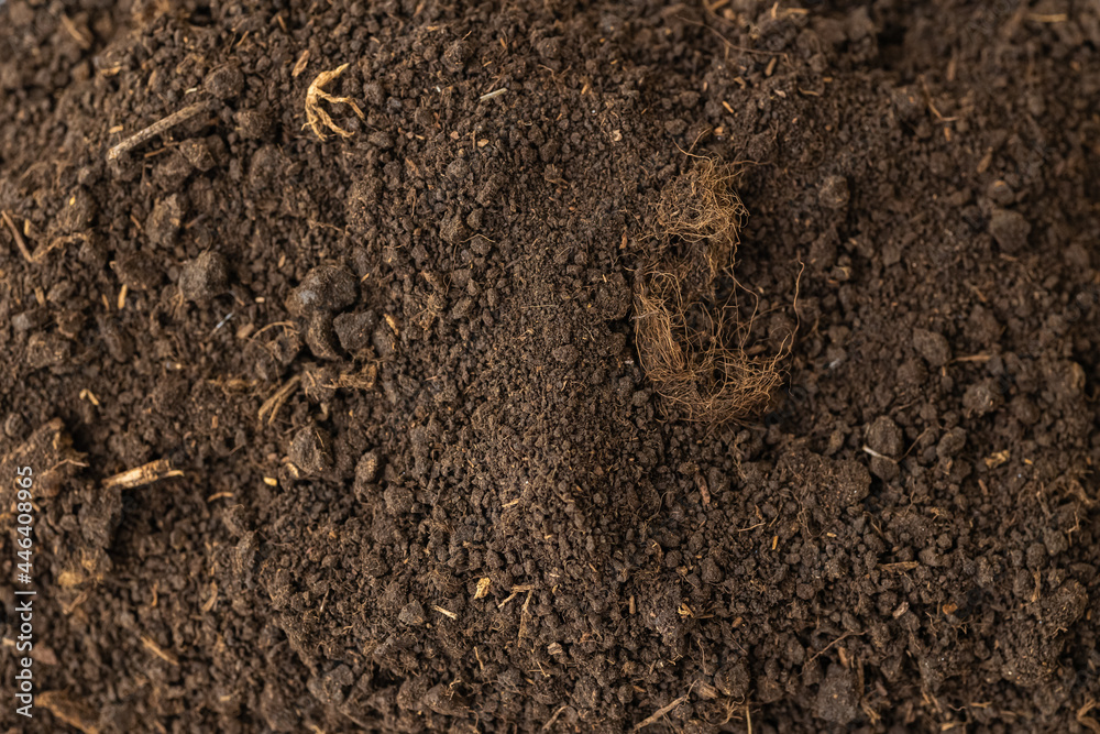 A heap of black dark brown peat, a natural fertilizer with particles of dead bog plants. Peat as a mineral material in natural production close-up macro top view A heap of black dark brown peat, a natural fertilizer with particles of dead bog plants. Peat as a mineral material in natural production close-up macro top view