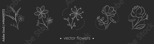 Hand drawn white flowers and leaves collection. Black and white vector drawings in linear style. Minimalism in nature