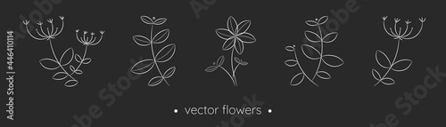 Hand drawn white flowers and leaves collection. Black and white vector drawings in linear style. Minimalism in nature