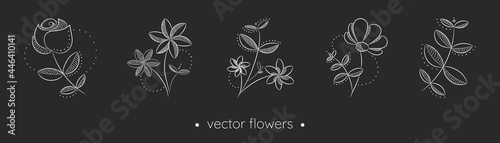 Hand drawn white flowers and leaves collection. Black and white vector drawings in linear style. Minimalism in nature