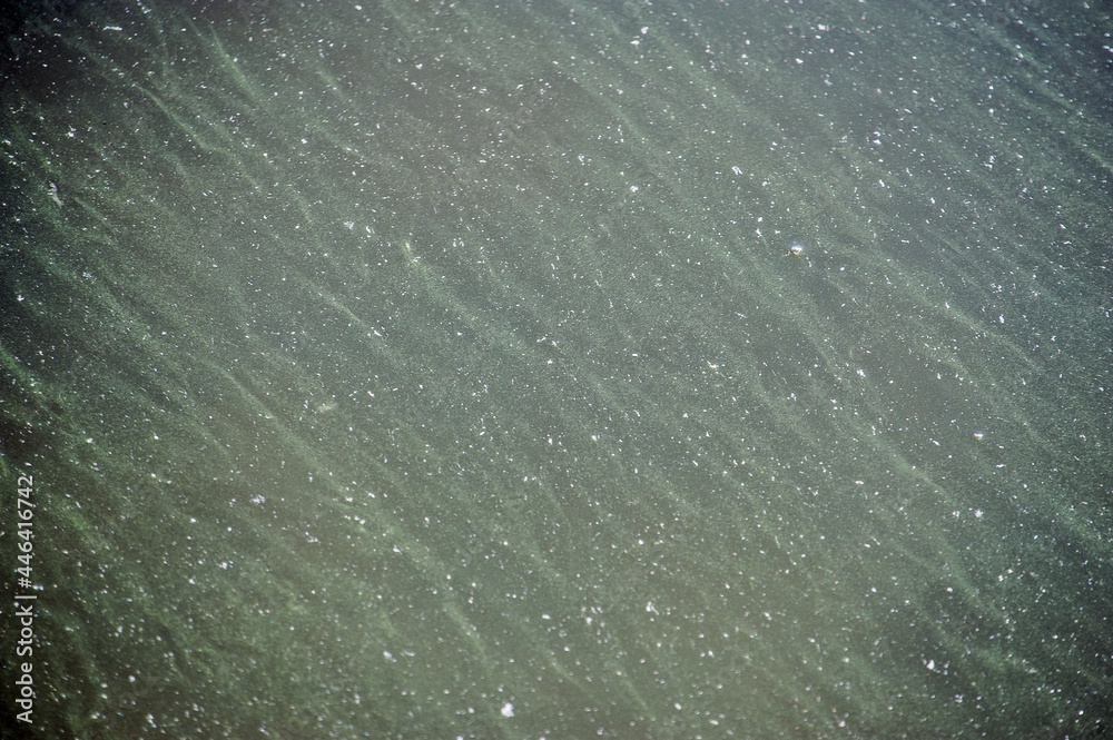 Dirty water in the pond Dirty water in the pond