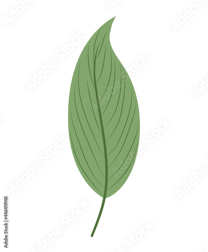 floral leaf icon