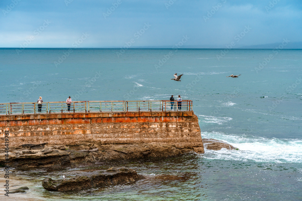 California sea lions at the La Jolla Children's Pool, San Diego, California. A beautiful landscape of rocks and the ocean on a cloudy day.