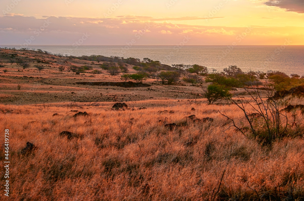 Colorful sunset around field and ocean Colorful sunset around field and ocean