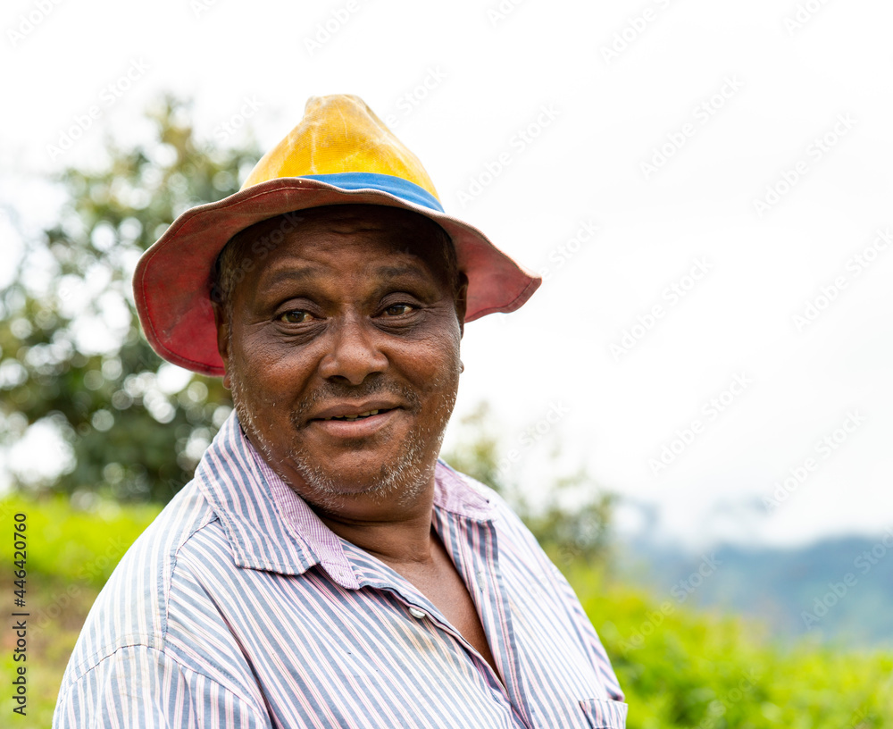 portrait of a smiling African American farmer portrait of a smiling African American farmer