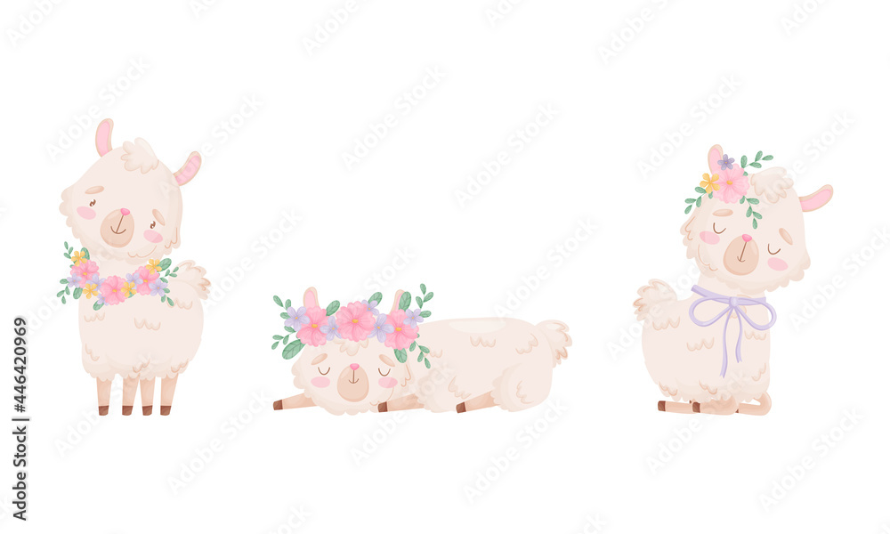 Cute Llama or Alpaca Wearing Floral Wreath Sleeping and Sitting Vector Set Cute Llama or Alpaca Wearing Floral Wreath Sleeping and Sitting Vector Set