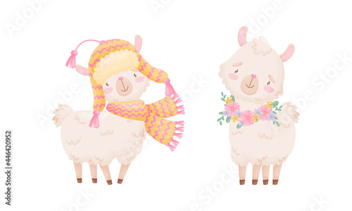 Cute Llama or Alpaca Wearing Warm Knitted Hat and Scarf Vector Set