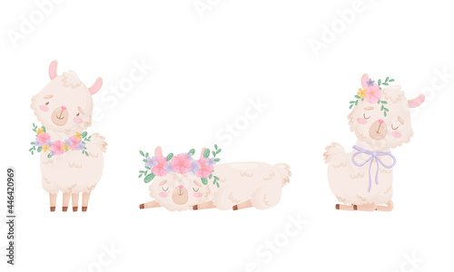 Cute Llama or Alpaca Wearing Floral Wreath Sleeping and Sitting Vector Set