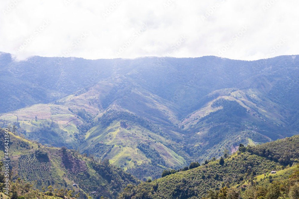 mountains of the coffee cultural landscape in Colombia