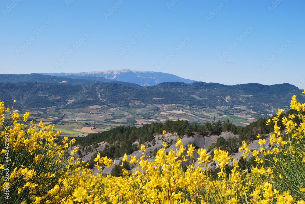 Drôme Provençale
