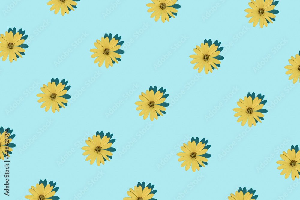 Flower pattern made with yellow flower on bright light blue background Flower pattern made with yellow flower on bright light blue background