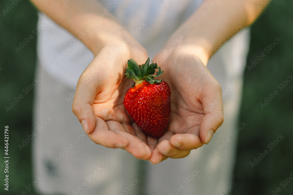 Obraz premium Teenager Girl is holding a ripe tasty bright strawberry. Summer Vitamin Food. Ripe organic strawberries