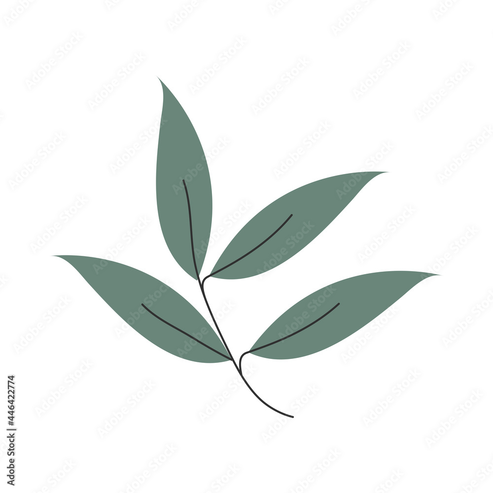 plant leaves nature plant leaves nature