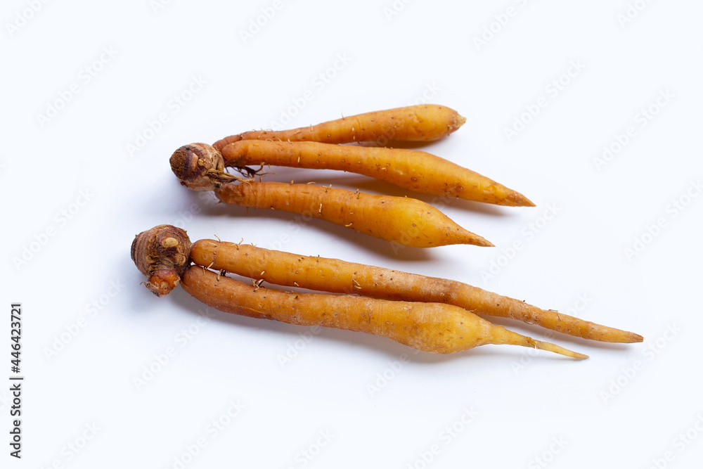 Finger root or boesenbergia on white background. Finger root or boesenbergia on white background.