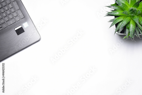 laptop and plant on white background copy space.